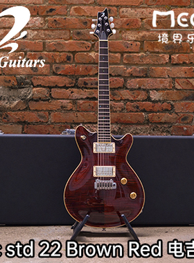 （已售定制参考）T's Guitars Arc std 22 Brown Red 电吉他