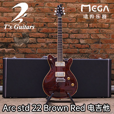 （已售定制参考）T's Guitars Arc std 22 Brown Red 电吉他