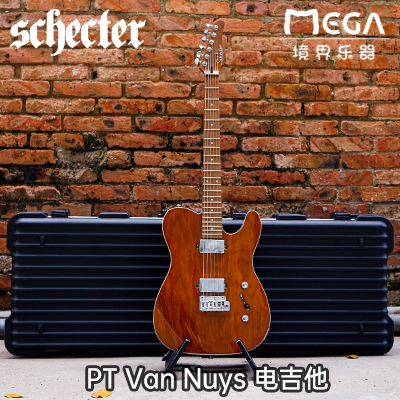 schecterptvannuyspt电吉他