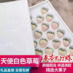 天使白色真红美玲黑草莓春节过年送礼水果女朋友礼物领导客户礼品