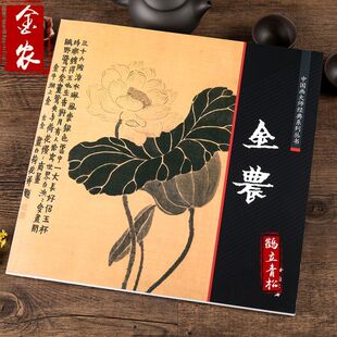 中国画大师经典系列丛书 金农/写意水墨花卉蔬果山水扬州八怪画集