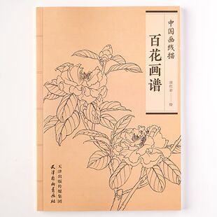百花画谱 工笔画底稿 百花白描书 线描图谱 花卉工笔底稿书
