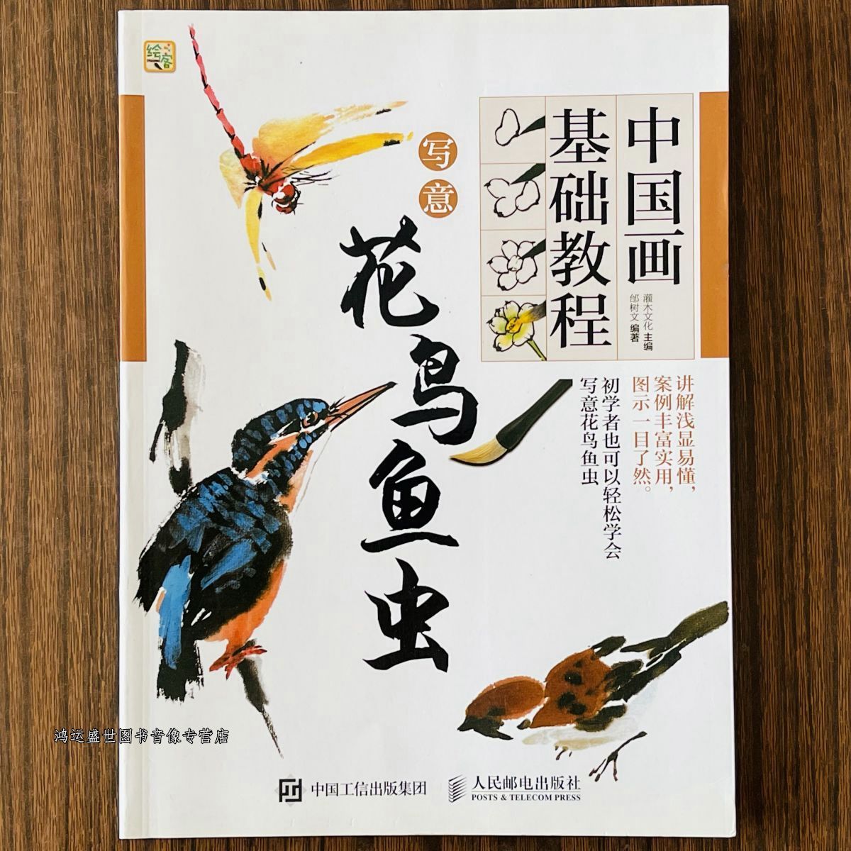 中国画写意基础教程花鸟鱼虫画法步骤教程初学者入门绘画麻雀燕子