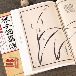 康熙原版芥子园画传花鸟卷兰谱正版临摹范本大学国画教材美术绘画