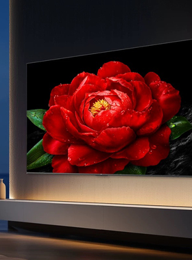 TCL 50T5K 50英寸4K 144HzQLED2.1声道音响电视机