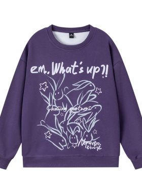 NEPLEURE 2025春秋复古兔子印花卫衣小众设计潮牌手绘情侣上衣