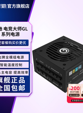 影驰电竞大师GL600W/850W全模组金牌ATX3.0额定750W台式主机电源