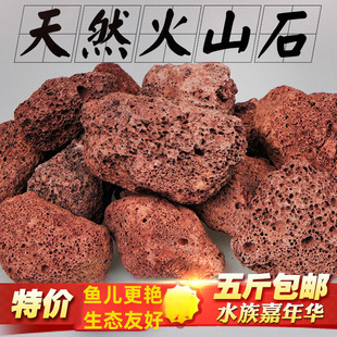 水族箱鱼缸过滤材料造景摆设火山石花罗汉增色增艳起头火山岩包邮