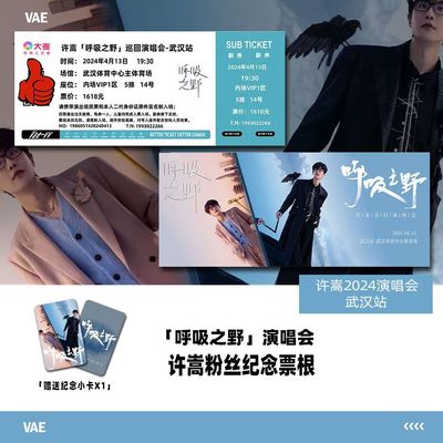 许嵩演唱会武汉站纪念门票周边拍照留念打卡定制座位送小卡