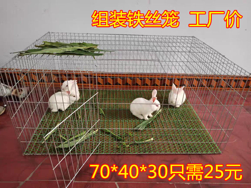 兔子笼鸡笼家用大号镀锌加密铁丝