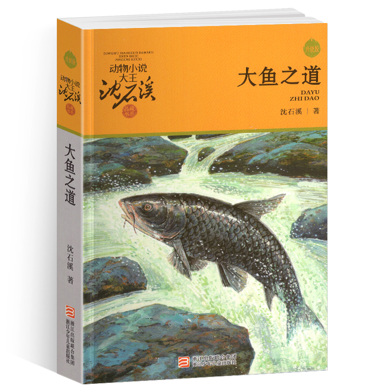 255页左右 145*210mm