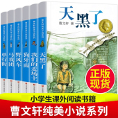 青铜葵花完整版 包邮 天黑了野风车狗牙雨单行街我们 小说作品全集 书籍 麦场主马戏团原著经典 全套6册曹文轩纯美小说系列官方正版