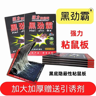强力粘鼠板带诱饵粘性加大型捕鼠器居家灭鼠用品