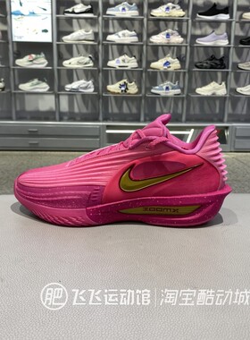 正品秋季Nike耐克新款 男缓震透气运动训练基础篮球鞋IM9441-600