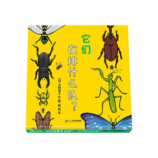 它们在排什么队精装绘本大村知子这是什么队列系列2-3-4-5-6岁适读上下翻页绘本介绍了50种不同的昆虫蒲蒲兰正版童书