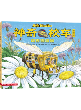 奇妙的蜂巢平装神奇校车系列单本