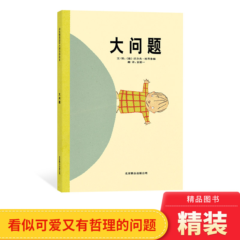 硬壳精装图画书大问题图片
