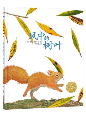 风中的树叶平装海豚绘本花园引导孩子们进入思考状态引发对生命意识的启蒙适合3岁以上正版童书