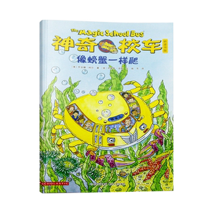 神奇校车桥梁书第五辑单本像螃蟹一样爬平装神奇的校车非注音版适合4岁以上蒲公英正版童书