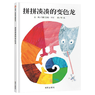 了解艺术的奥秘拼拼凑凑变色龙