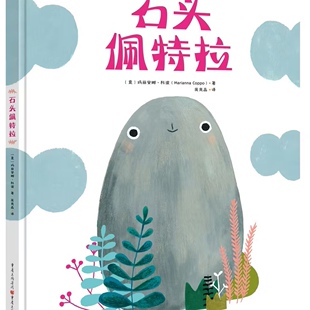 石头佩特拉精装绘本图画书故事让孩子脑洞大开带给孩子无限惊喜青豆书坊正版