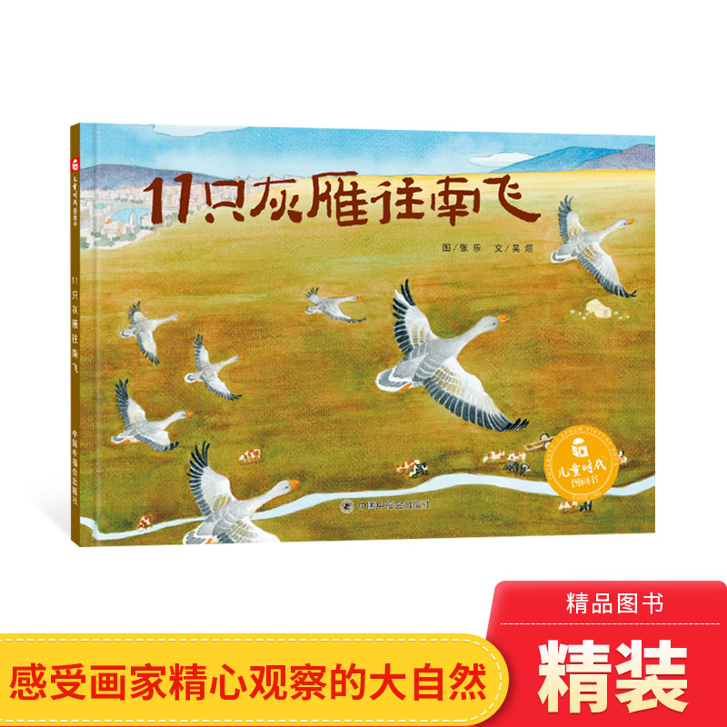 童情商启蒙认知11只灰雁往南飞