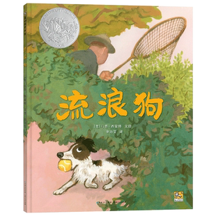流浪狗硬壳精装绘本儿童图画书凯迪克银奖一只流浪狗找到属于自己的家的故事一个小小的善举可以拉近人与动物的距离蒲公英正版