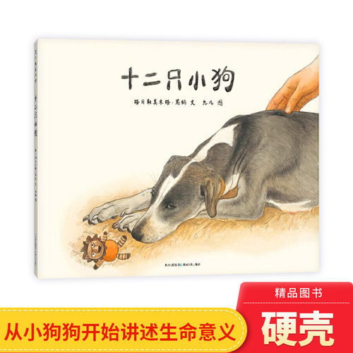 十二只小狗精装绘本图画书孩子