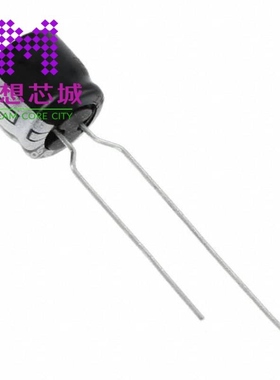 EEA-GA1V470B EEA-GA1V470H EEA-GA1V6R8
