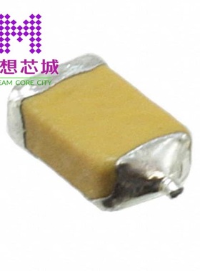 F950G107KSAAQ2 F950G107MAAAQ2 F950G107MPAAQ2