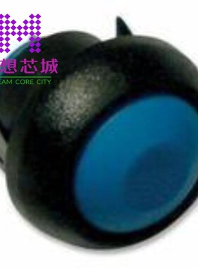 IBR3SAD1 IBR3SAD100 IBR3SAD2