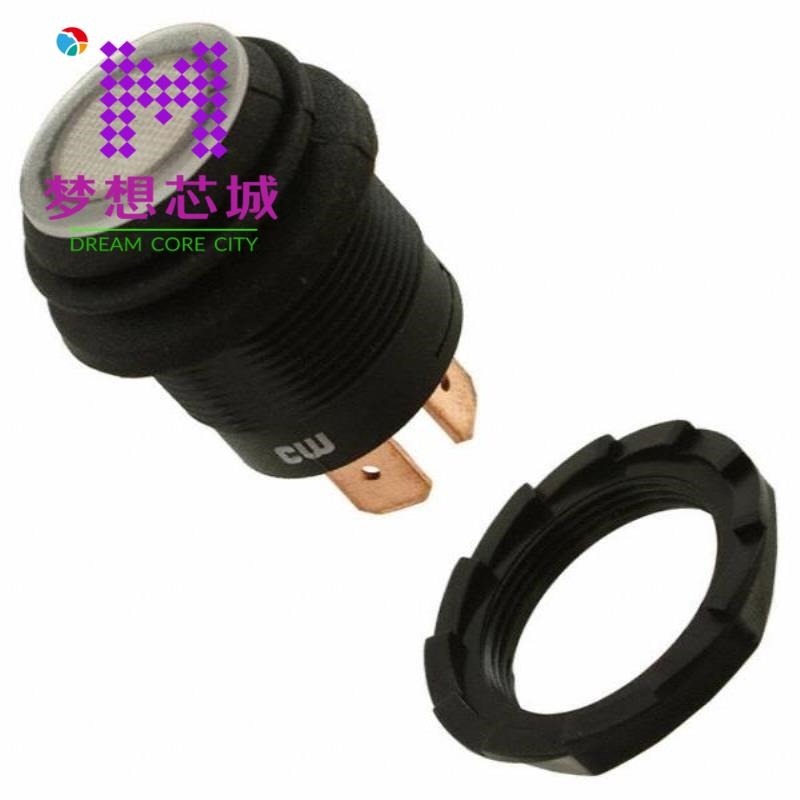 GPB553B201BB GPB553B2L01BA GPB553A2L01BW