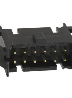 DF11-12DEP-2A DF11-12DEP-2C DF11-12DP-2DS(24)