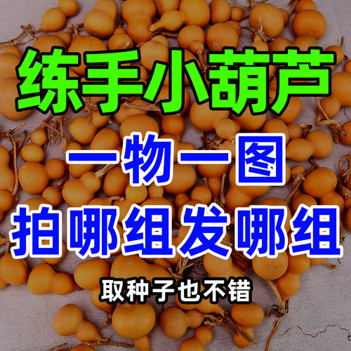 forsunny福三源葫芦手把练手文玩