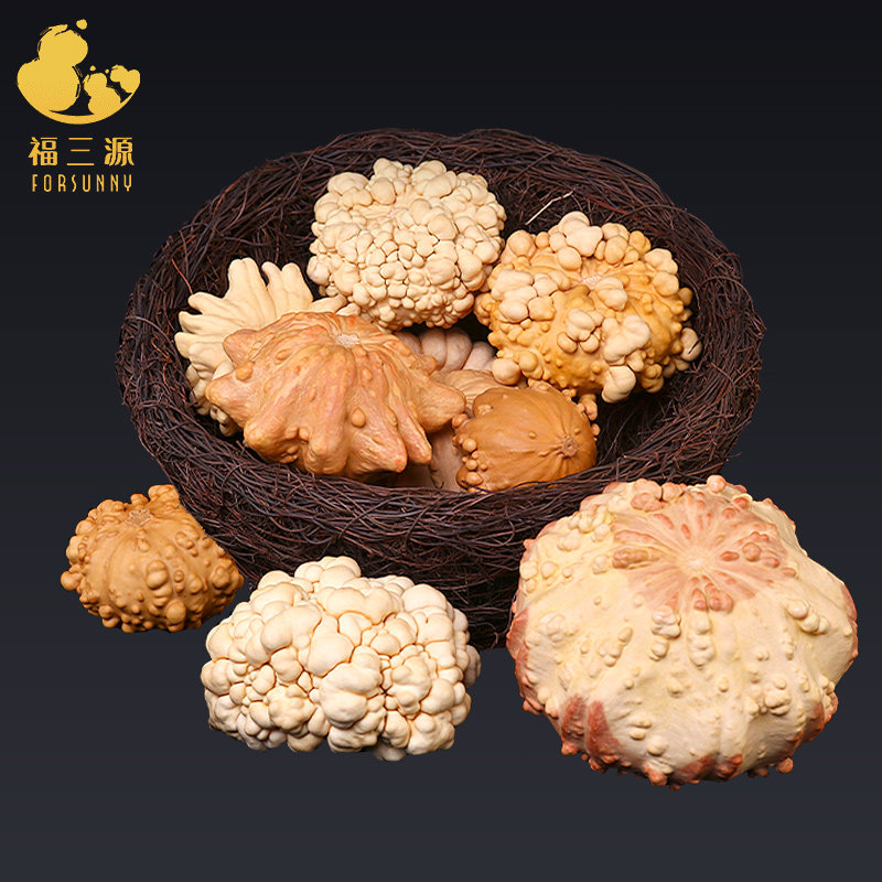 葫芦摆件手把件文玩疙瘩葫芦把玩墨西哥天然大号异形南瓜海星客厅