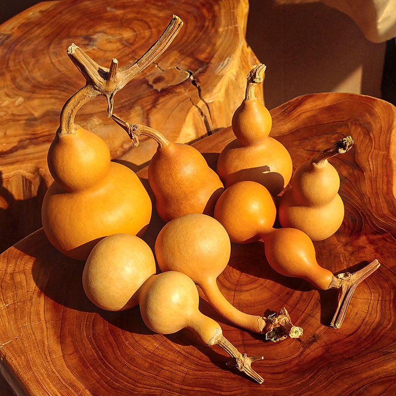 forsunny福三源葫芦一物一图