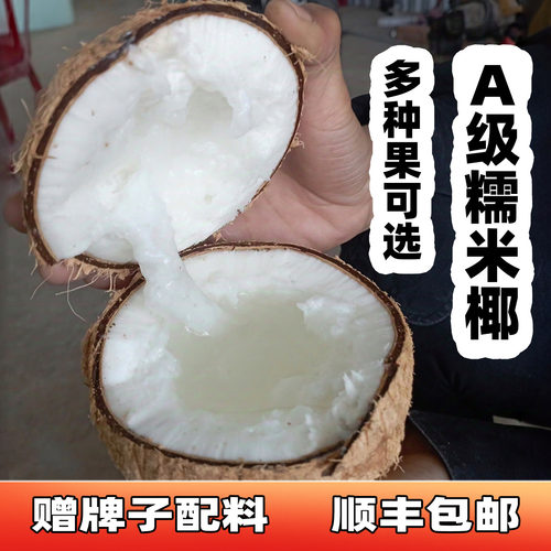 糯米椰现货送5元小料新鲜去皮真空锁鲜软糯泰国椰冷链进口到仓库