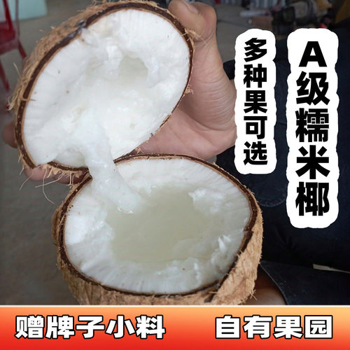 糯米椰送5元小料软糯黏稠椰子产地冷链到仓库当天去皮抽真空