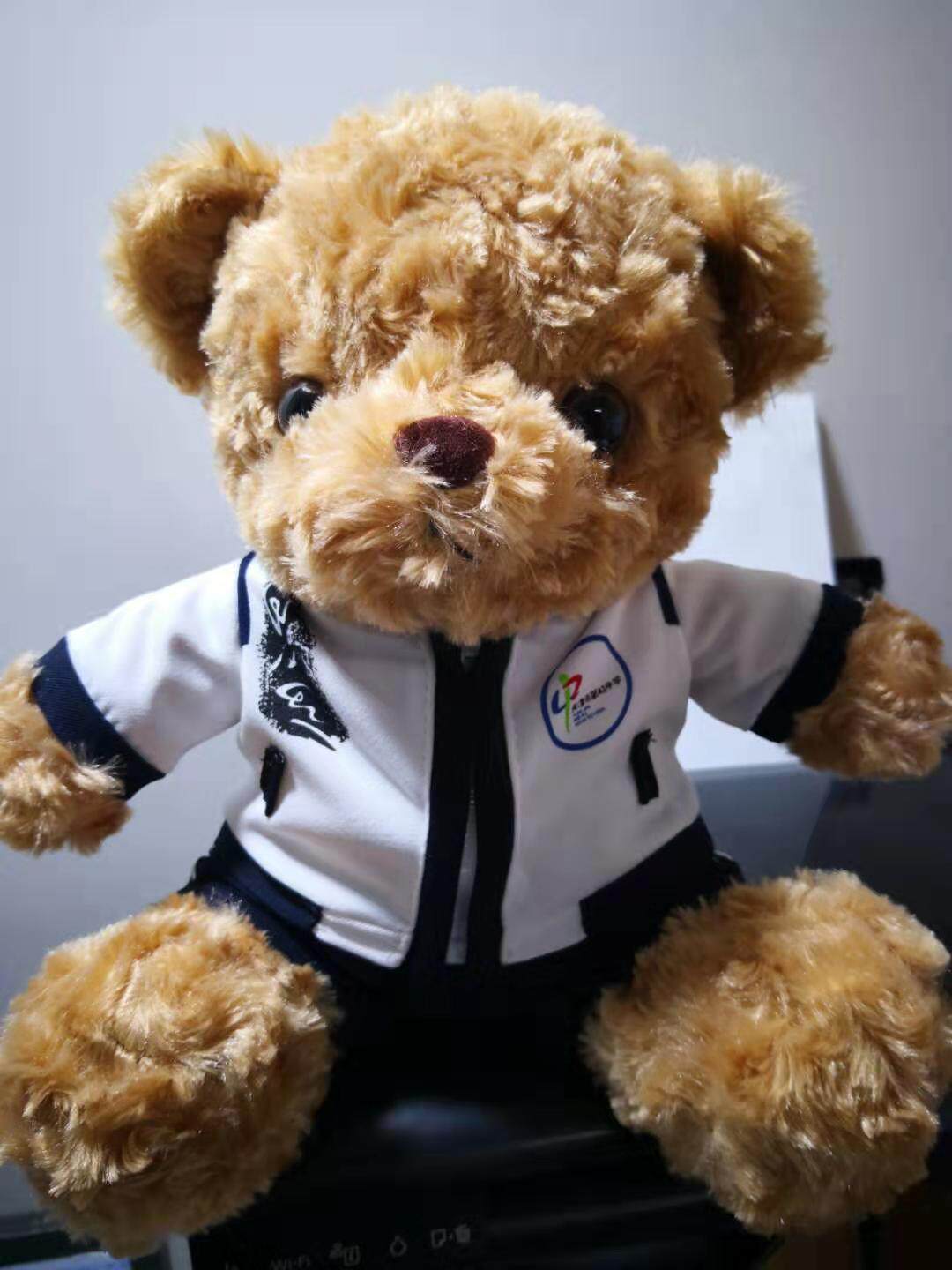 天津市四十二中学42中校服熊公仔娃娃(白熊棕熊下单备注)