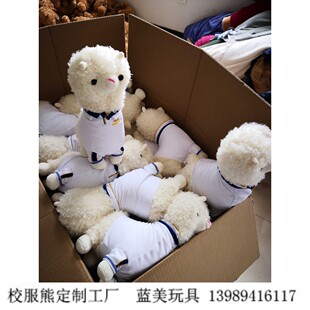 山东师大附中校服羊驼穿衣服定制校服熊