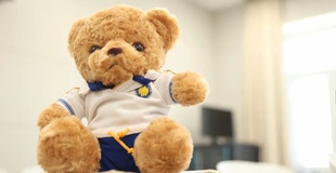 山东师大附中校服熊玩具穿衣熊定制(也可定制其他学校公司的熊)