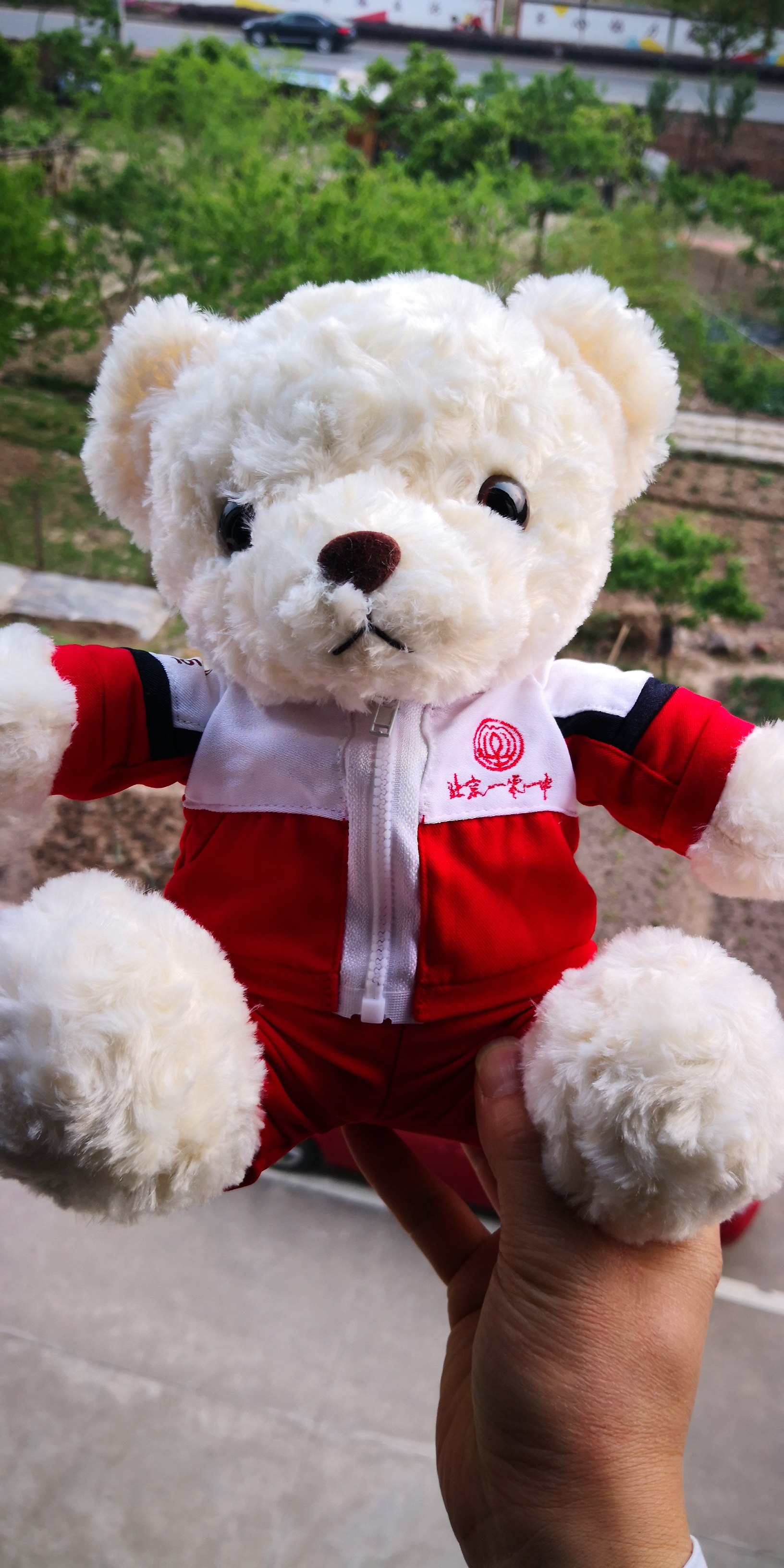 北京101中学校服熊毕业熊学士熊泰迪熊博士熊其他学校都可定制