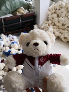 首都师大附中校服熊