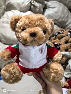 树德中学校服公仔中学校服熊毕业熊学士熊泰迪熊博士熊