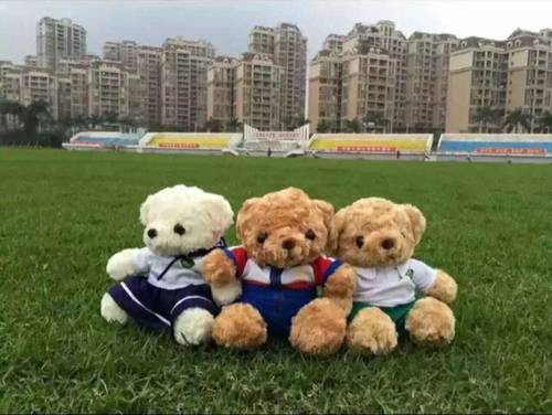 定制肇庆中学毕业熊各个羊驼公仔