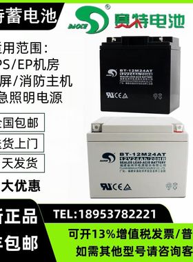 赛特BT-12M24AT蓄电池12V17/38AH消防主机北大青鸟海湾松江泰和安