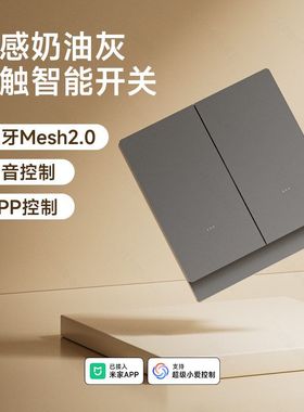 灰色肤感智能开关已接入米家APP蓝牙2.0双控支持语音控制家用零火