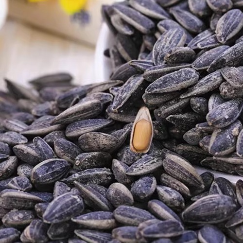 陕北特产黑珍珠油葵椒盐小瓜子毛嗑葵花籽盐焗饱满酥脆盐葵小葵