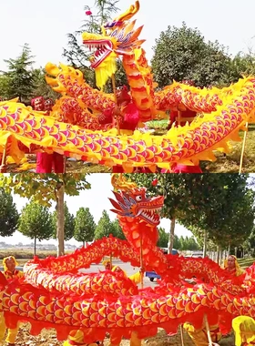 舞龙社火道具节日喜庆演出舞狮