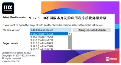 Mendix Studio Низкий код разработки проекта пакета модуля Dowerse 9.17-9.10